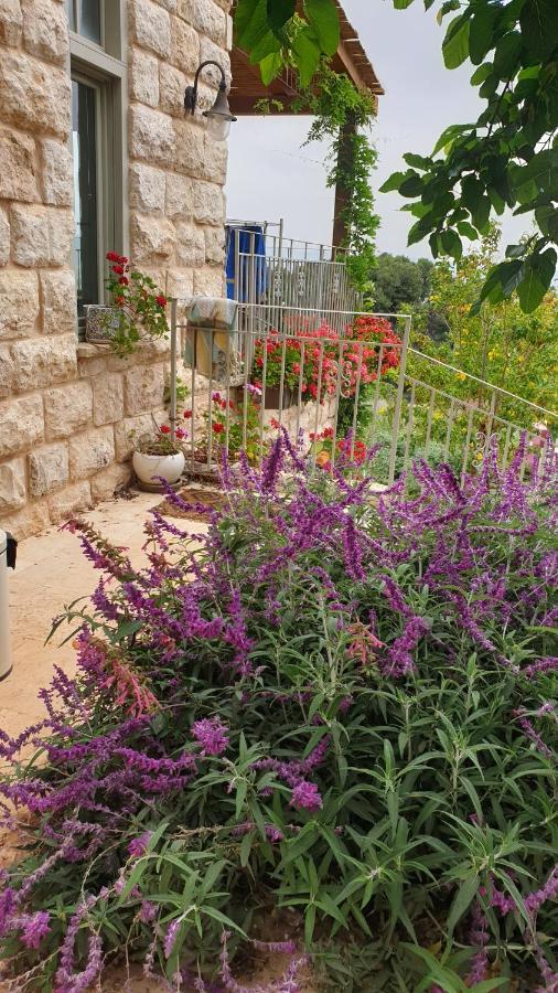 הבית של סתיו Rosh Pinna Bagian luar foto