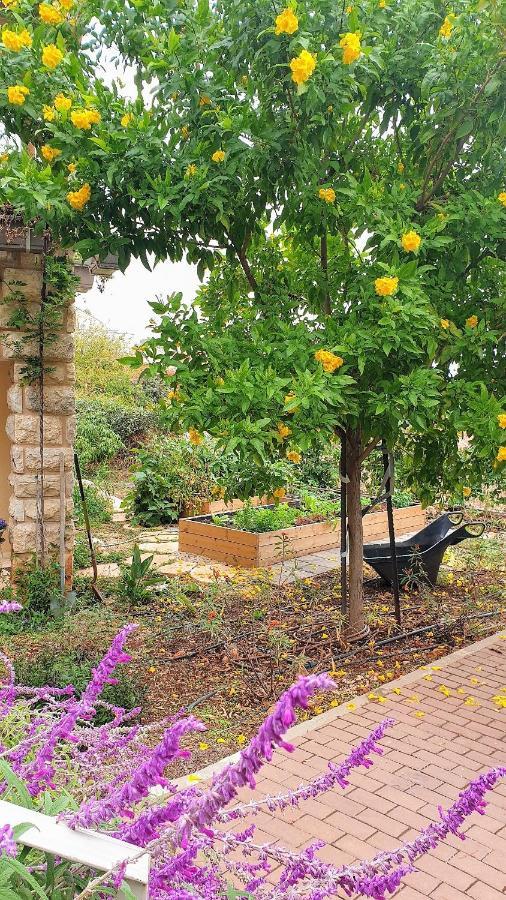 הבית של סתיו Rosh Pinna Bagian luar foto