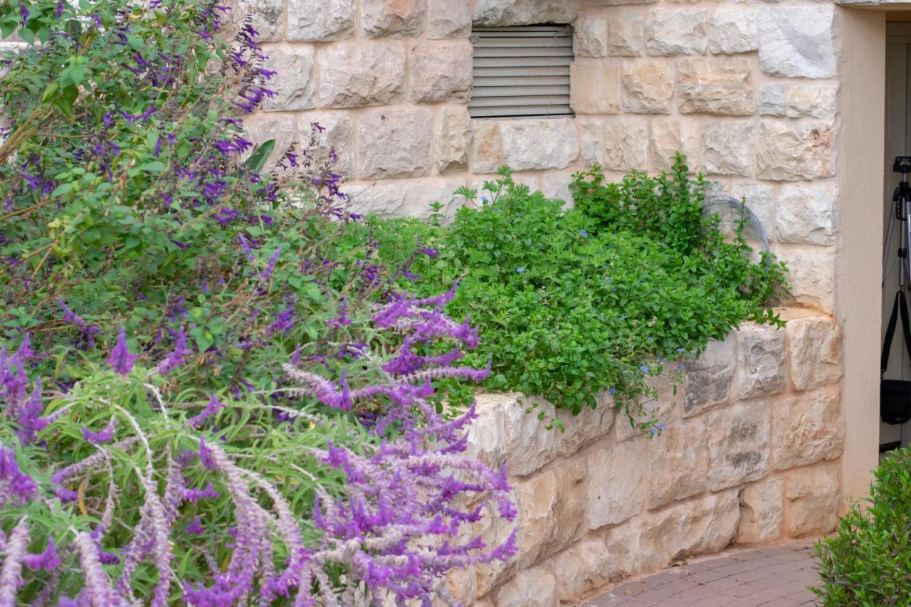הבית של סתיו Rosh Pinna Bagian luar foto